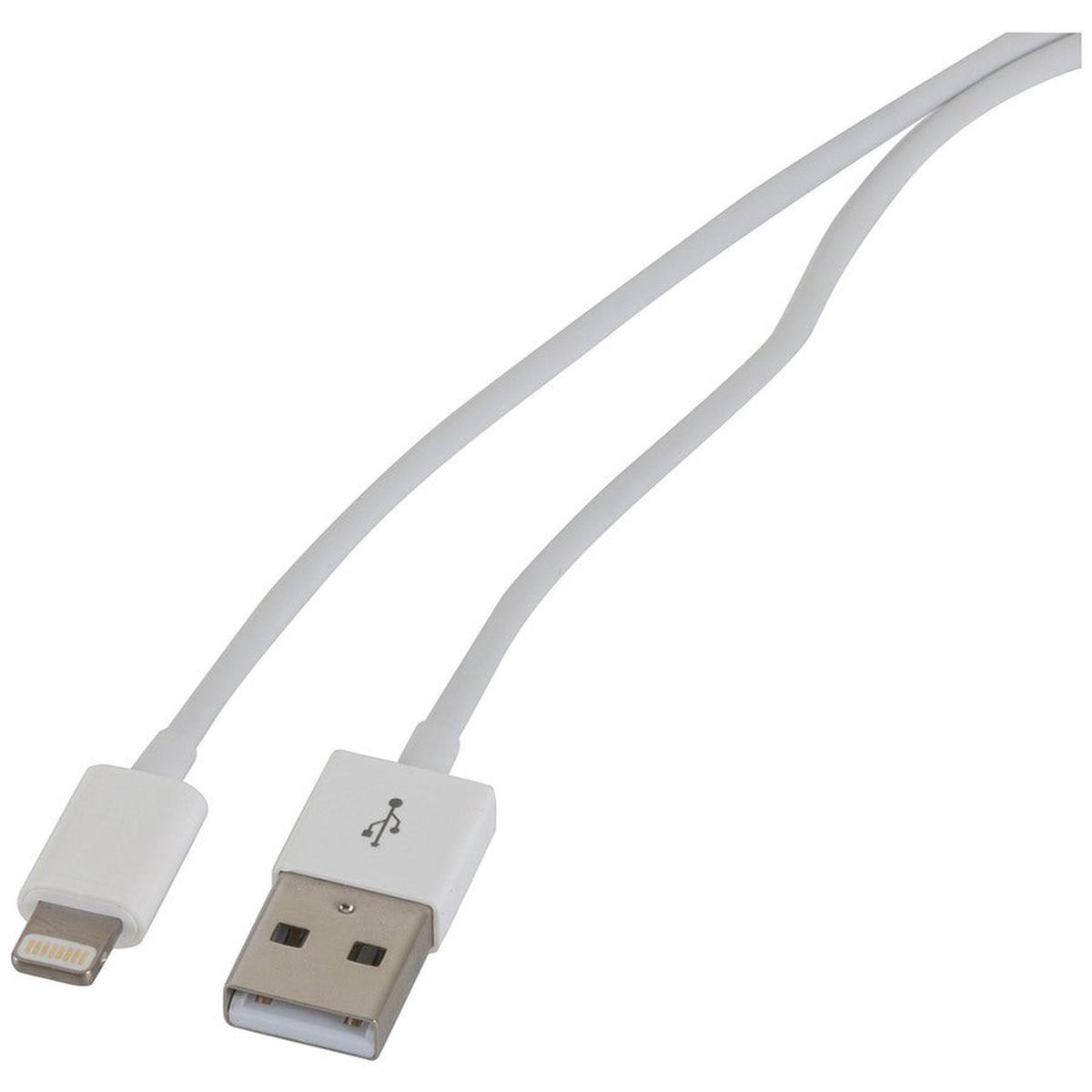 8-Pin Charge/Sync Cable