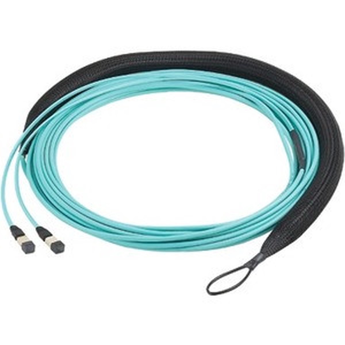 Panduit Fiber Optic Network Cable - FXWSP5E5EAAF237