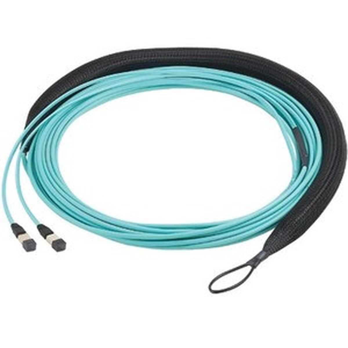 Panduit Fiber Optic Network Cable - FXWSL5E5EAAM080