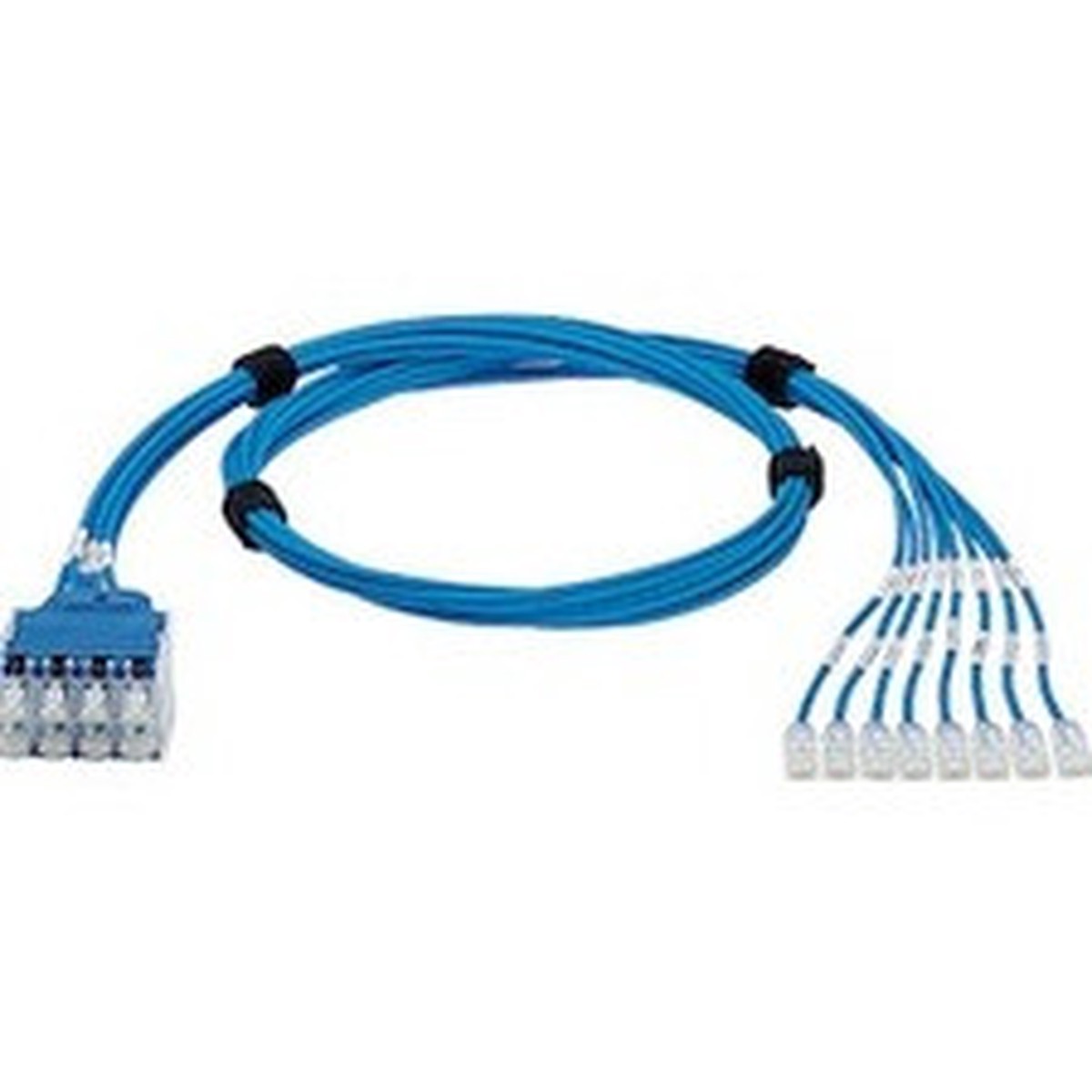 Panduit QuickNet Cat.6 U/UTP Network Cable - QPPCCBDB07