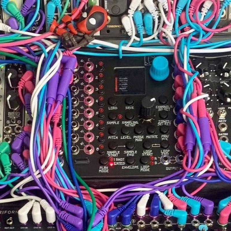 Tendrils Cables - 6x Right angled Eurorack Patch Cables